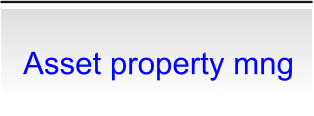 Asset property mng